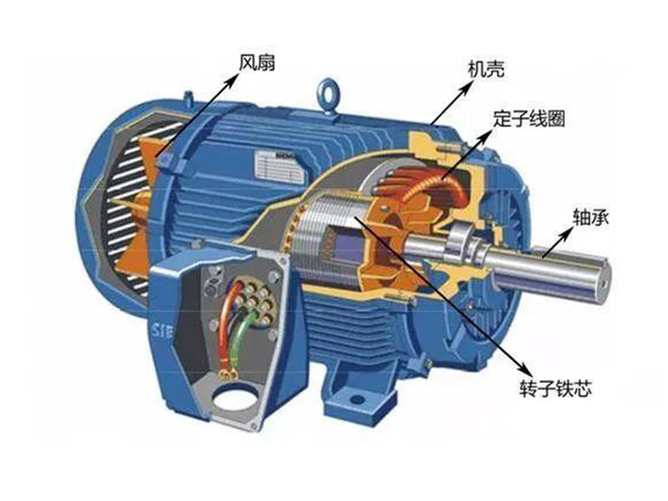 電機(jī)